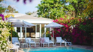 TheLastWordConstantiabyClaireGunn(102)