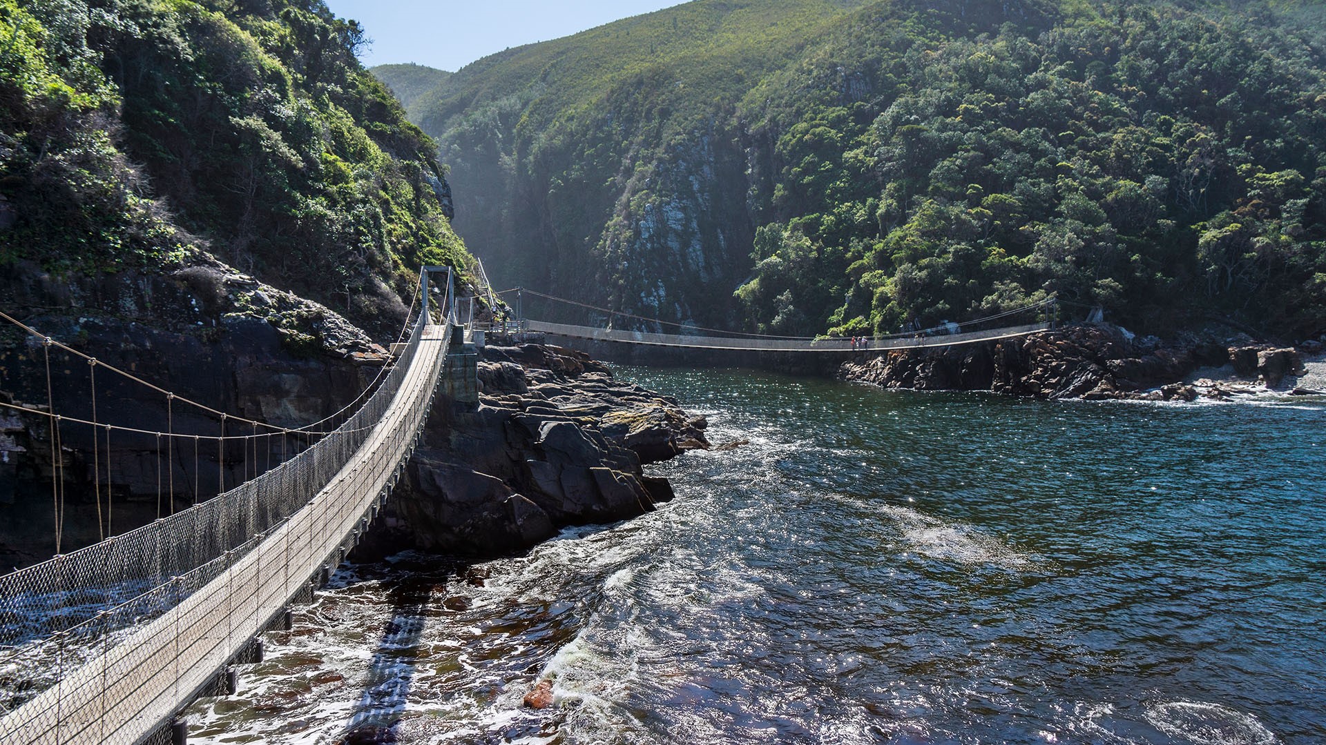 Tsitsikamma Suspension Bridge