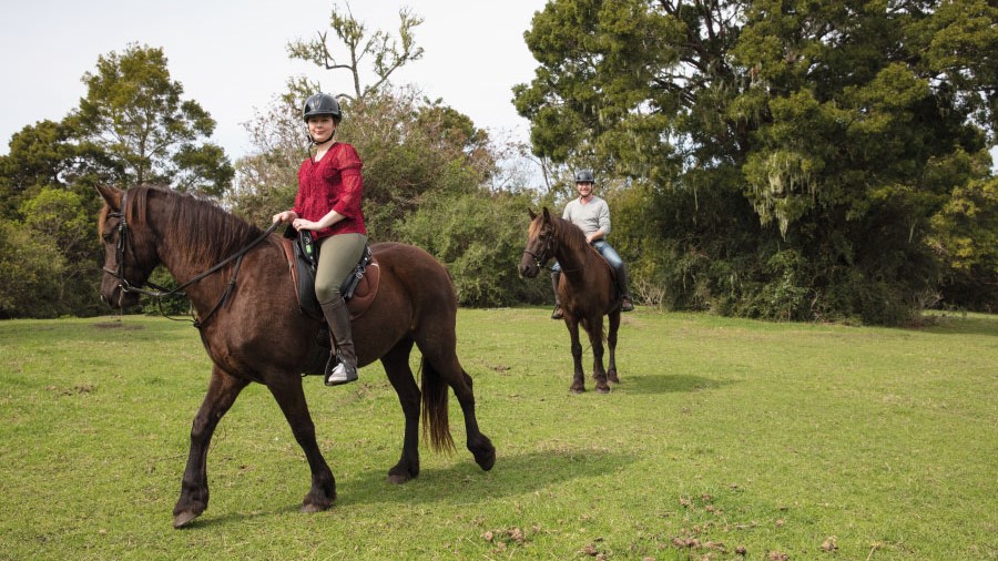 pezula-hotel-activities-hog-hollow-horse-riding