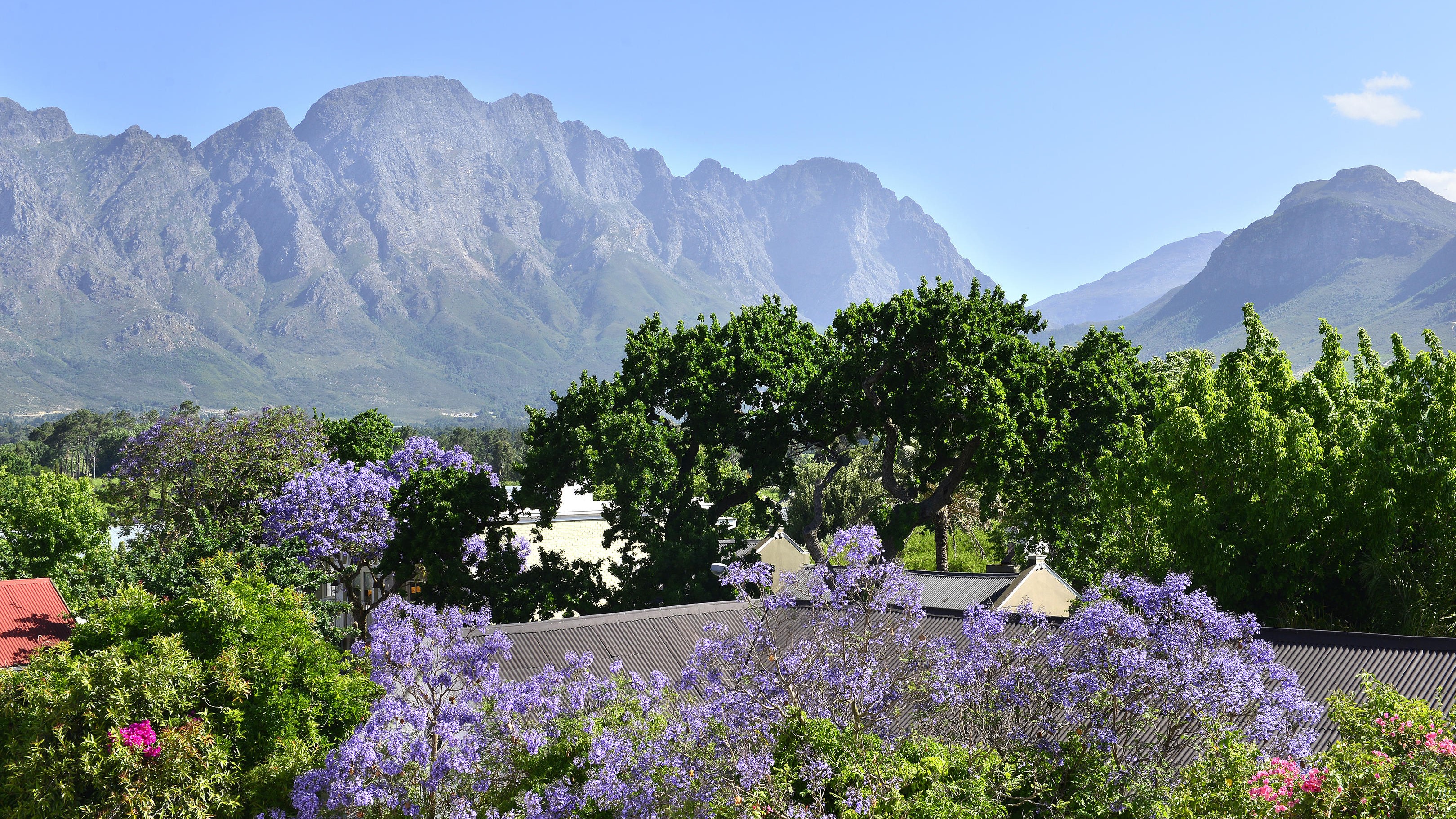 Franschhoek Boutique Hotel View From Rooms