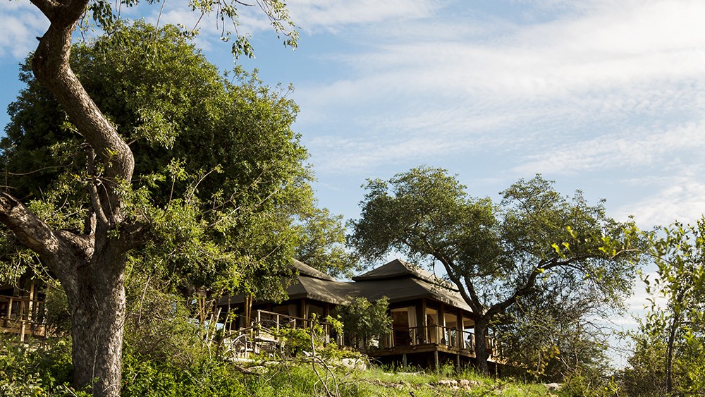 Simbavati Hilltop Lodge (15)