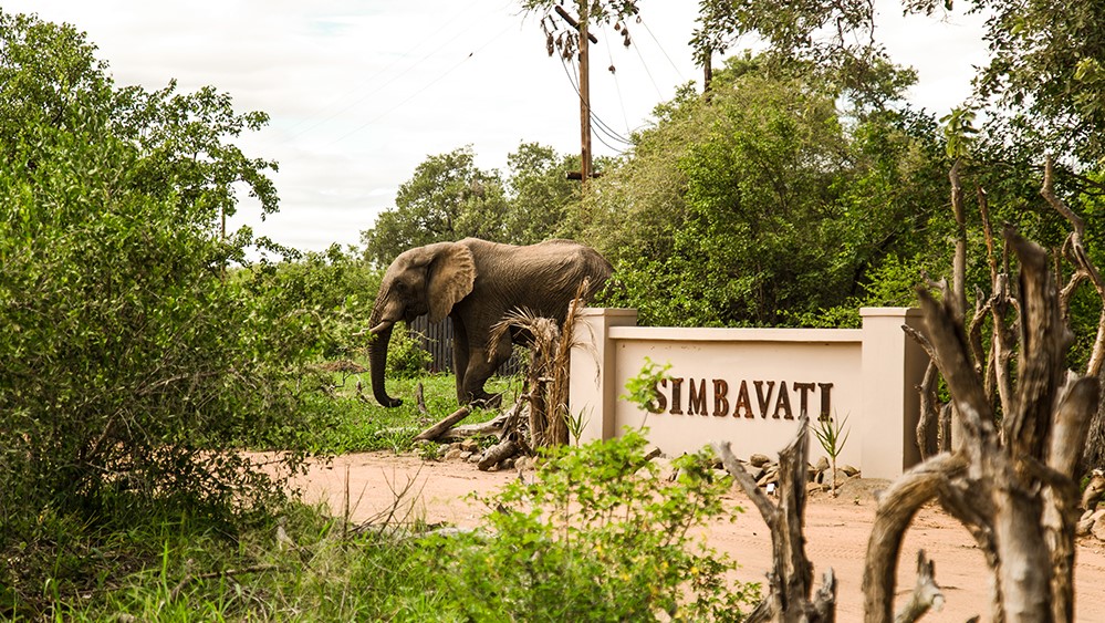 Simbavati River Lodge (1)