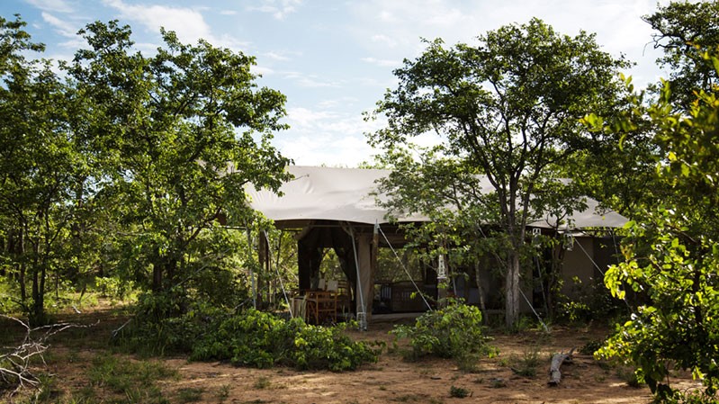 Simbavati Trails Camp (1)