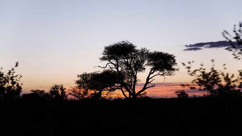 Simbavati Trails Camp (7)