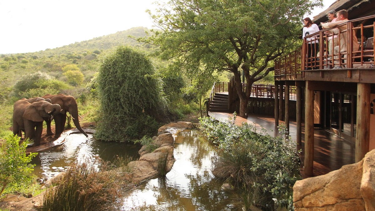 Thanda Elephant by the Lodge